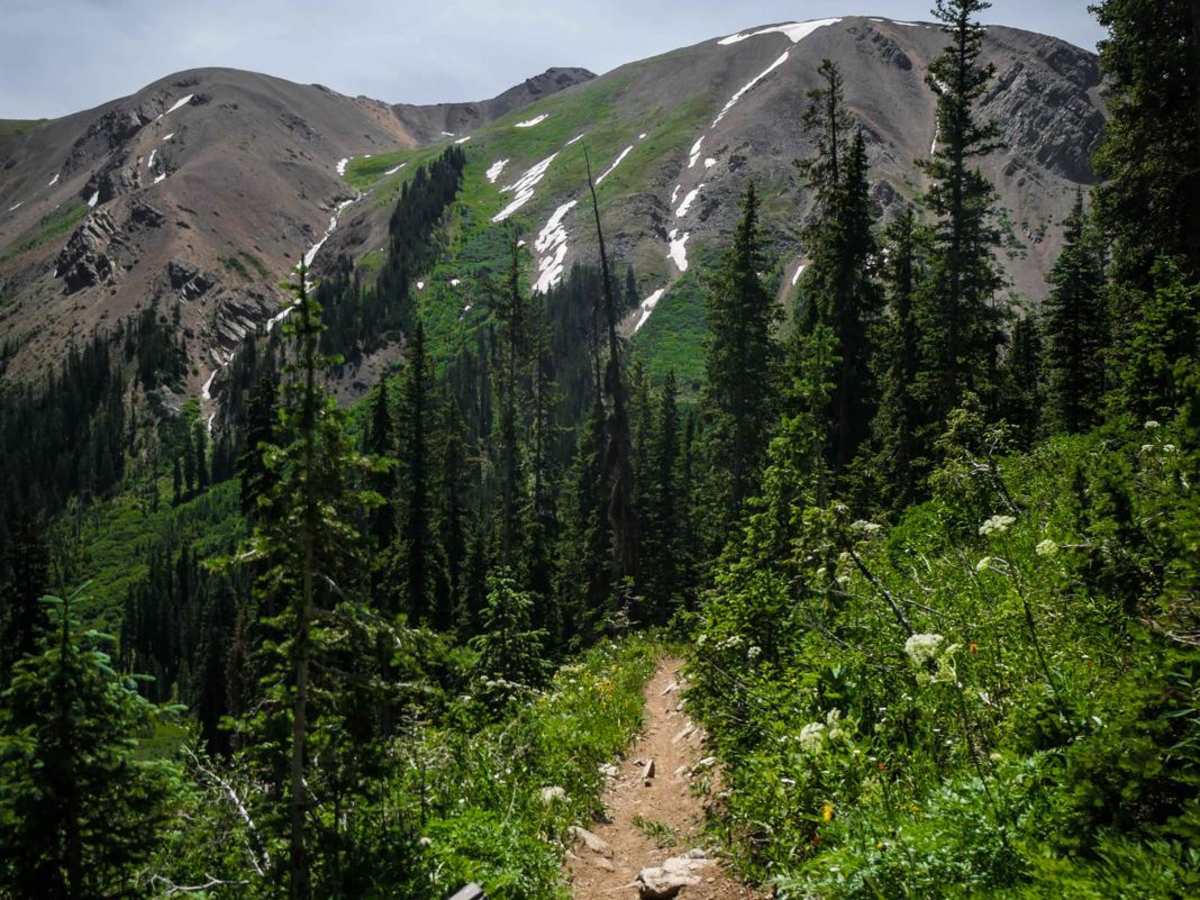Taylor Divide trail photo