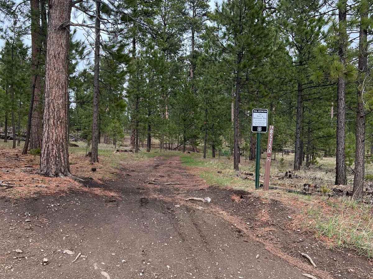 Benchmark Trail trail photo