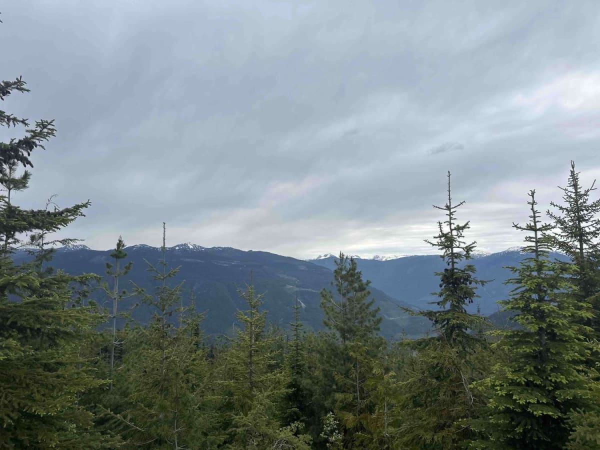Bowman FSR - Joss Mountain photo 5