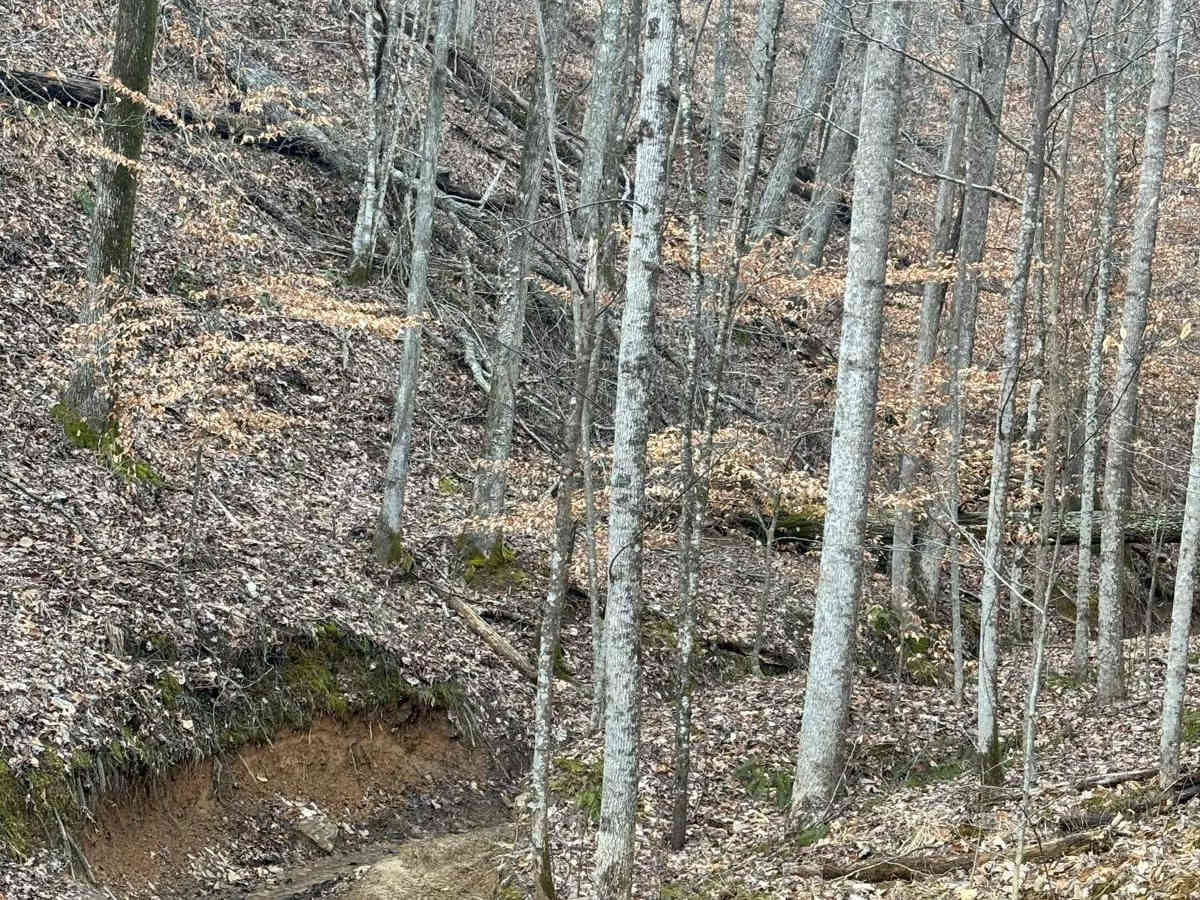 Briar Creek photo 3