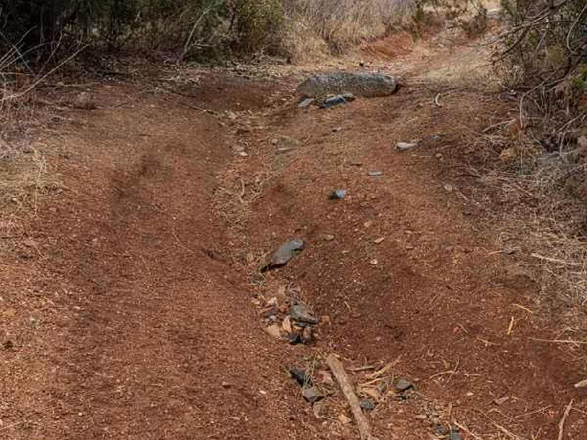 T Bar T trail photo