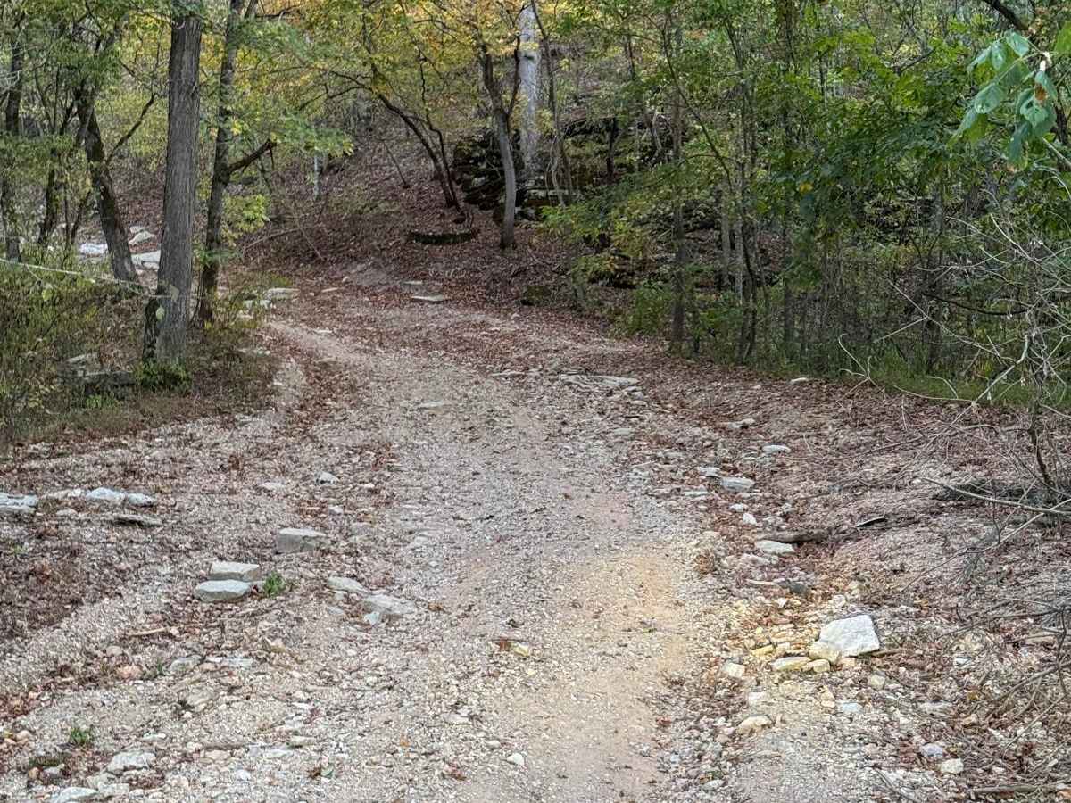 Assault Opossum Hill 16 photo 2