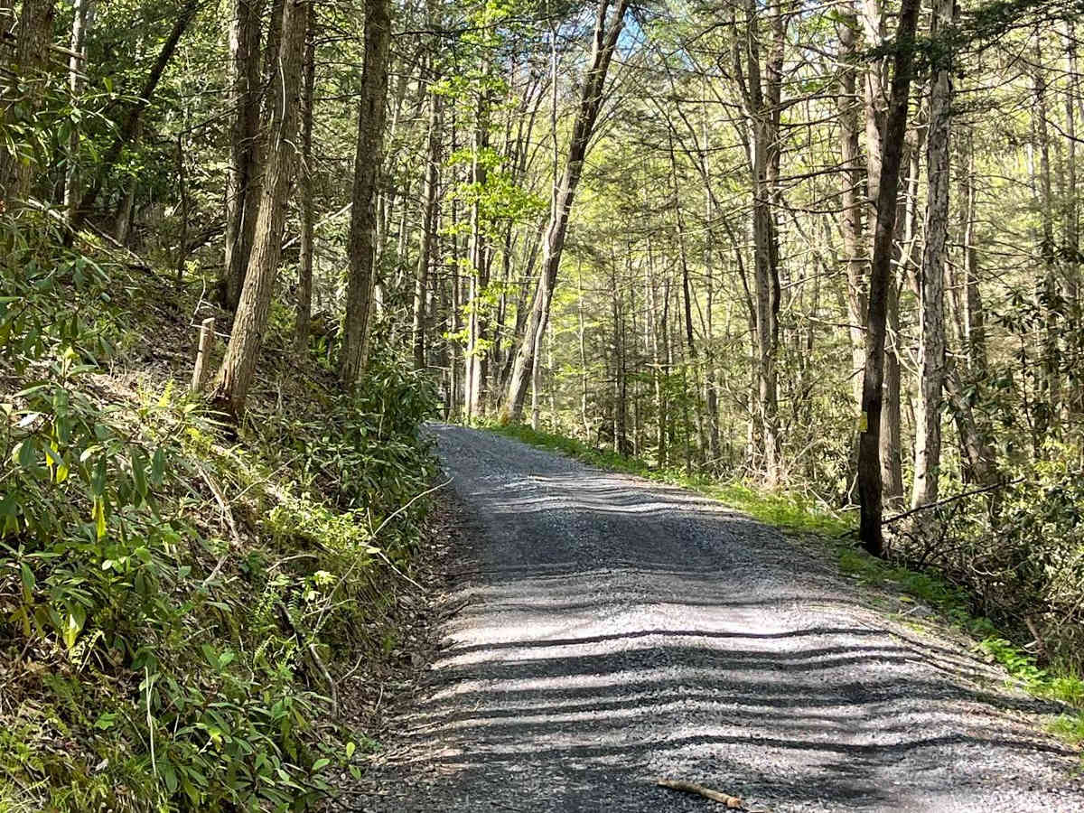 Queens Run Road trail photo