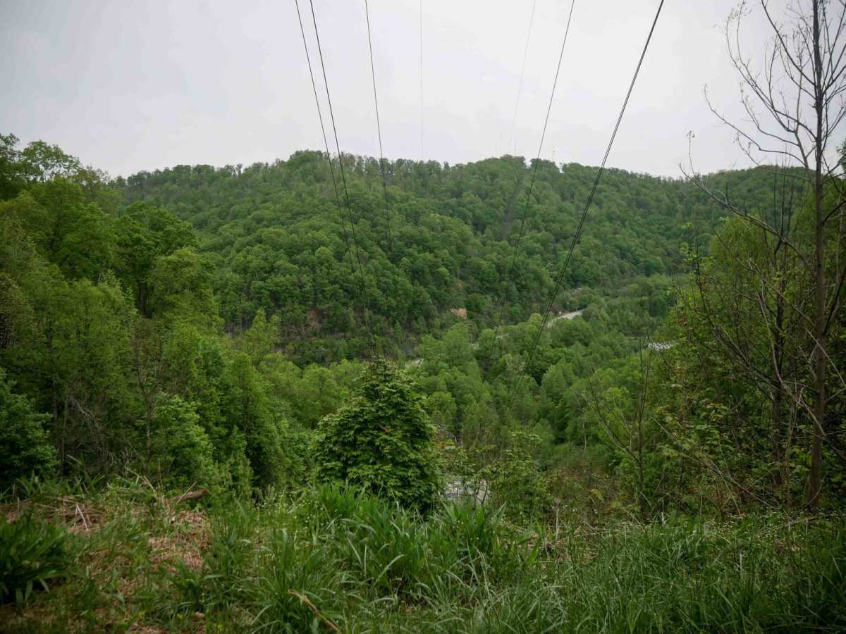 BM 55 trail photo