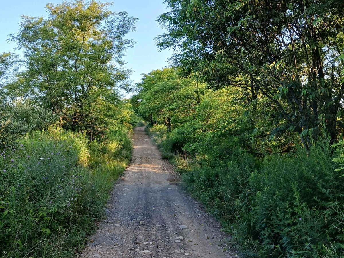 Trail 12G - Rock Run Recreation Area photo 6