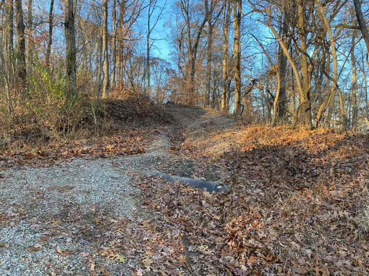 Rock Top SFR 233 photo 2