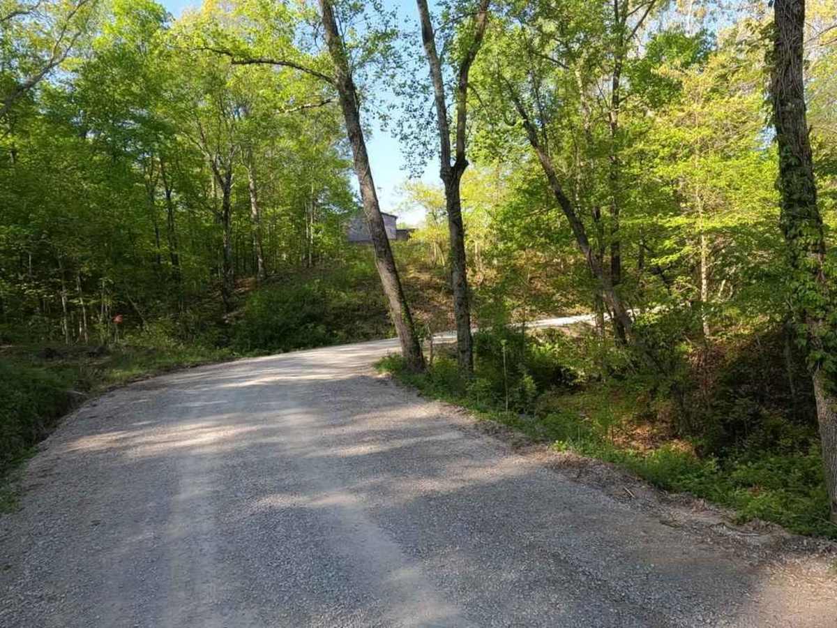 Lovejoy Creek Road photo 5