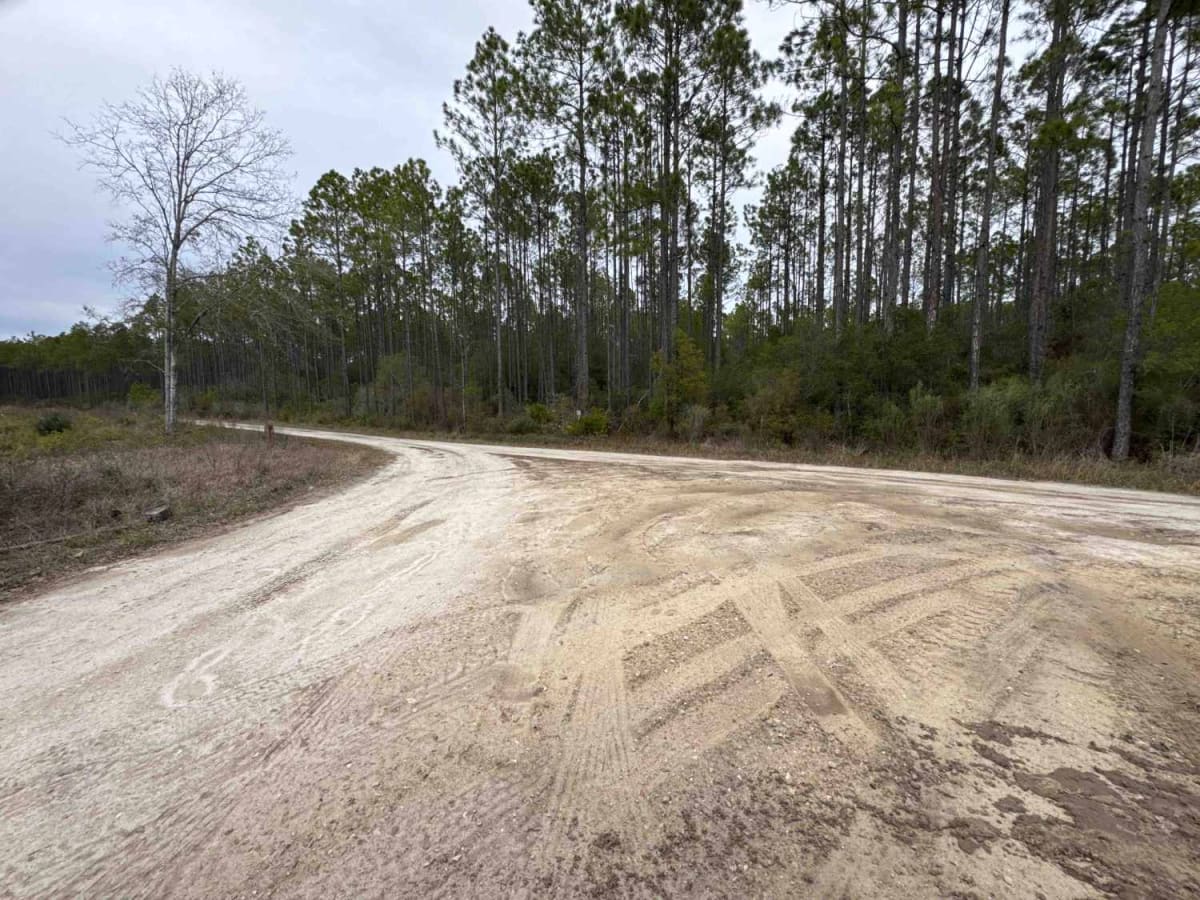 McIntyre Road photo 2