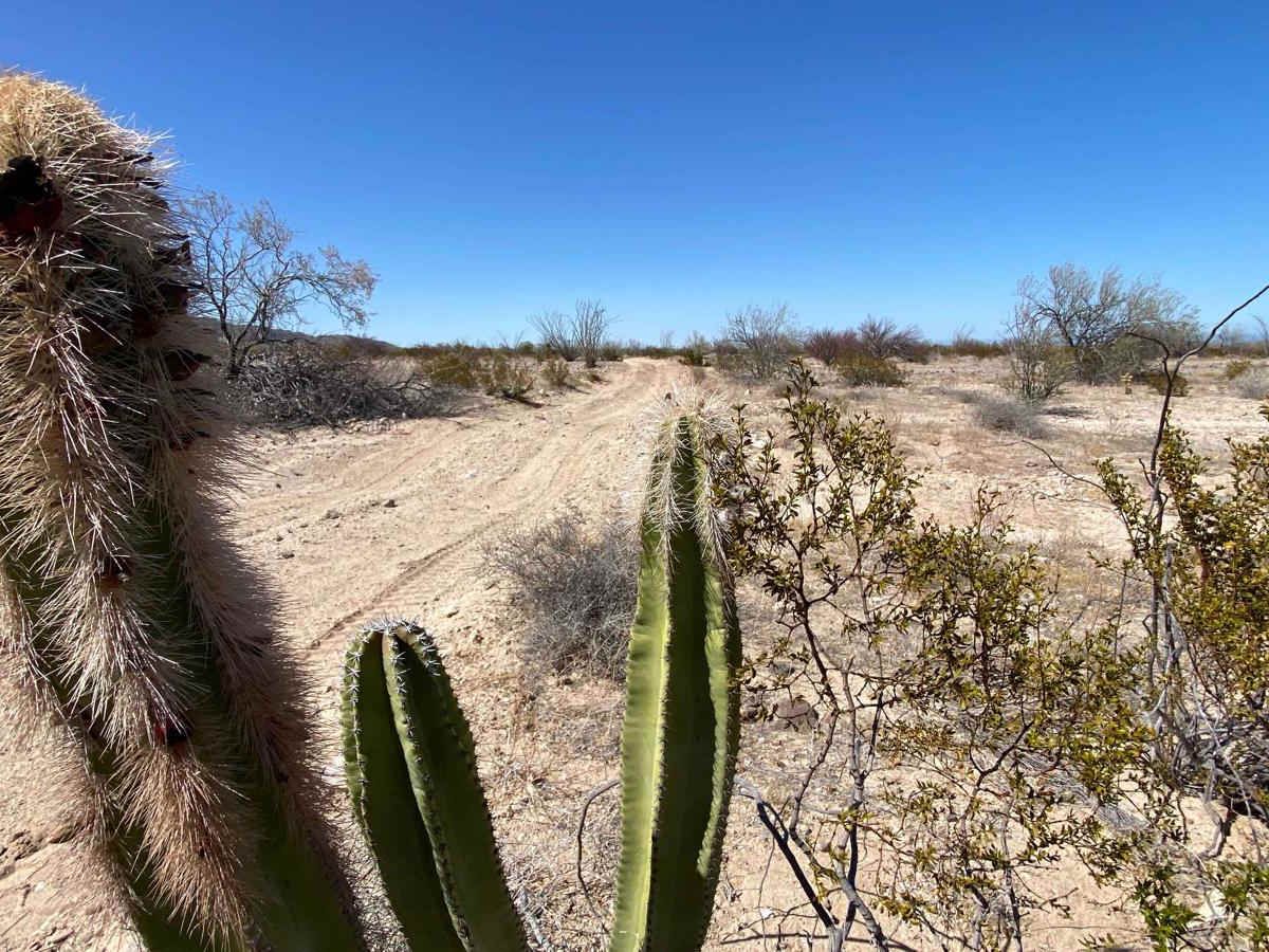 North of San Felipe photo 6