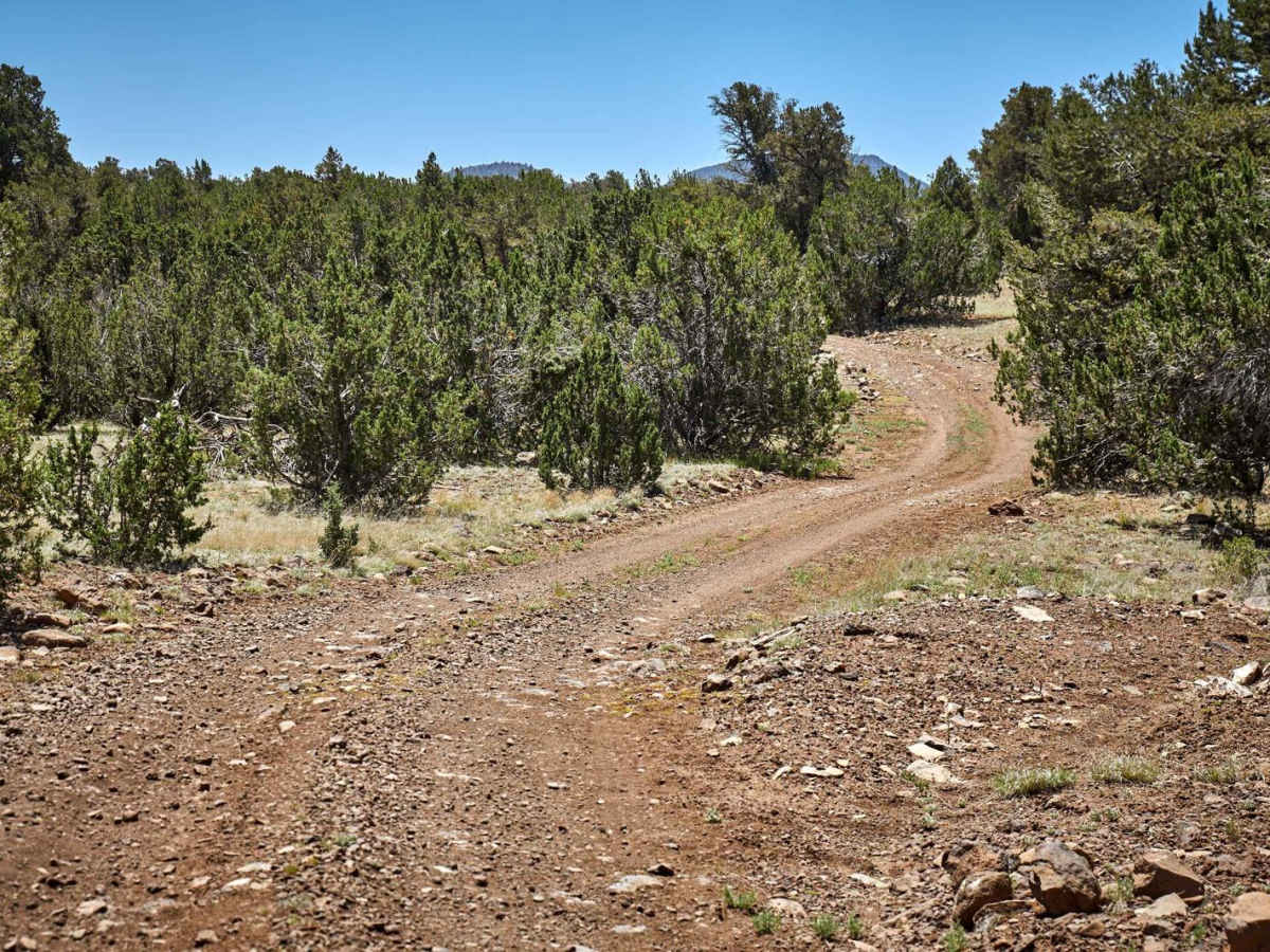 Old 84 Road photo 2