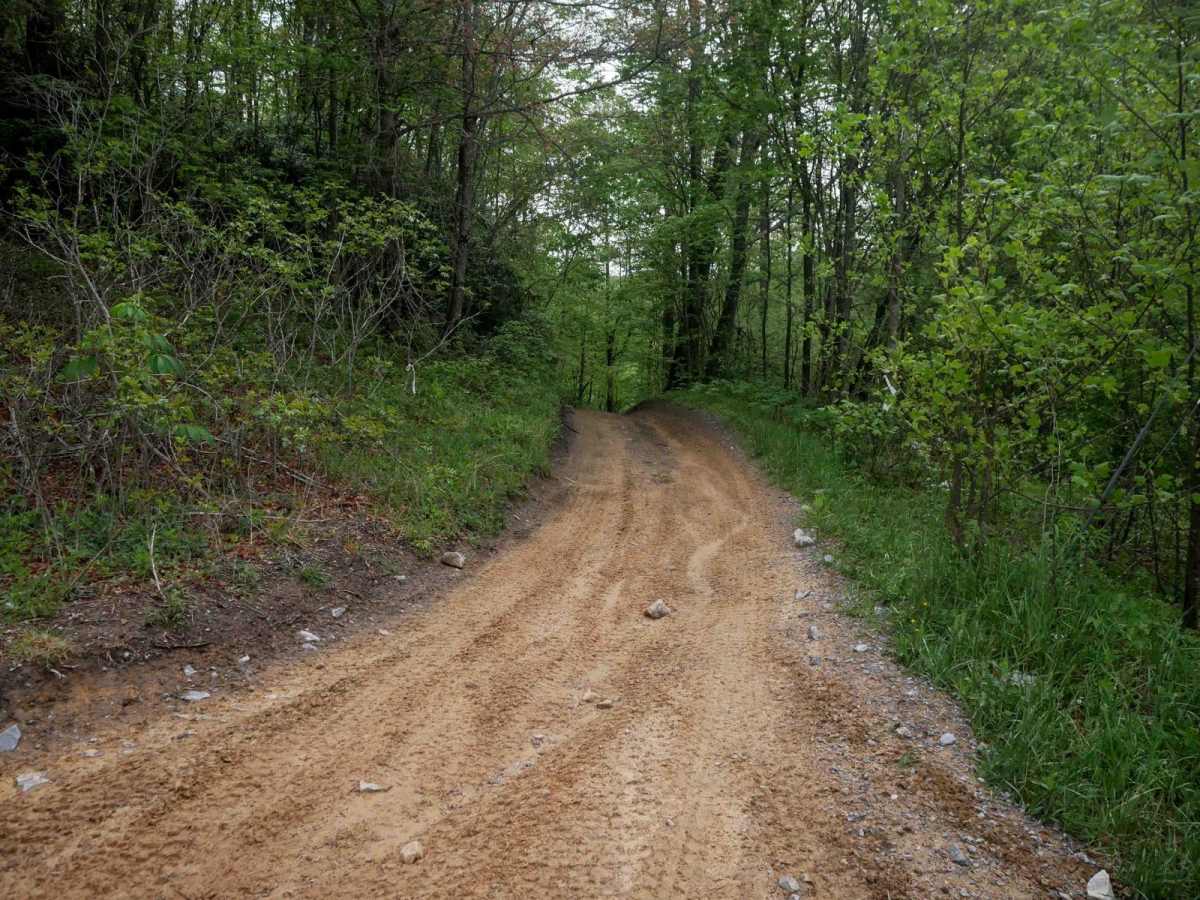 OP 14 (Part 2) trail photo
