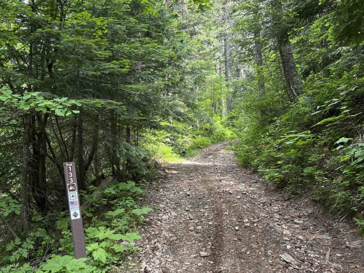 Little North Fork photo 2
