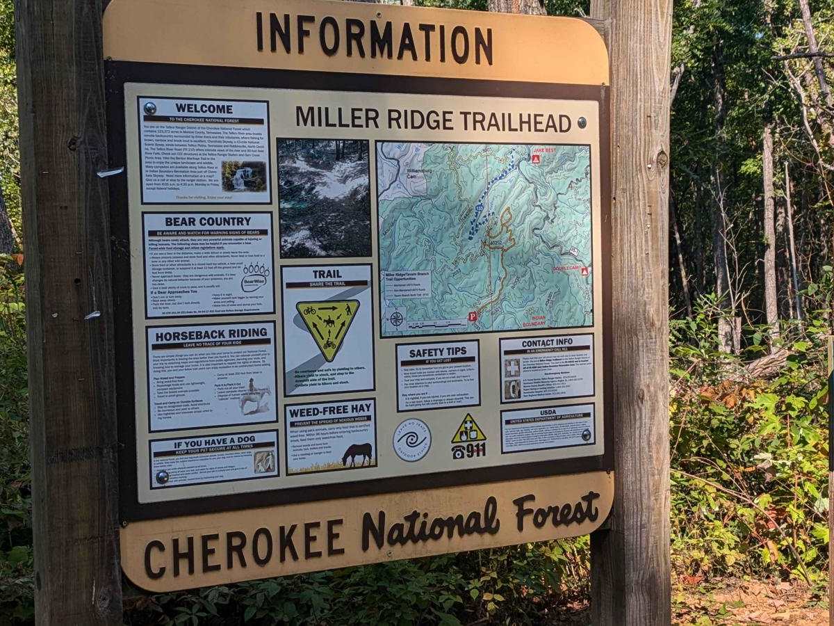 Bark Camp- Lost Cove- Miller's Ridge trail photo