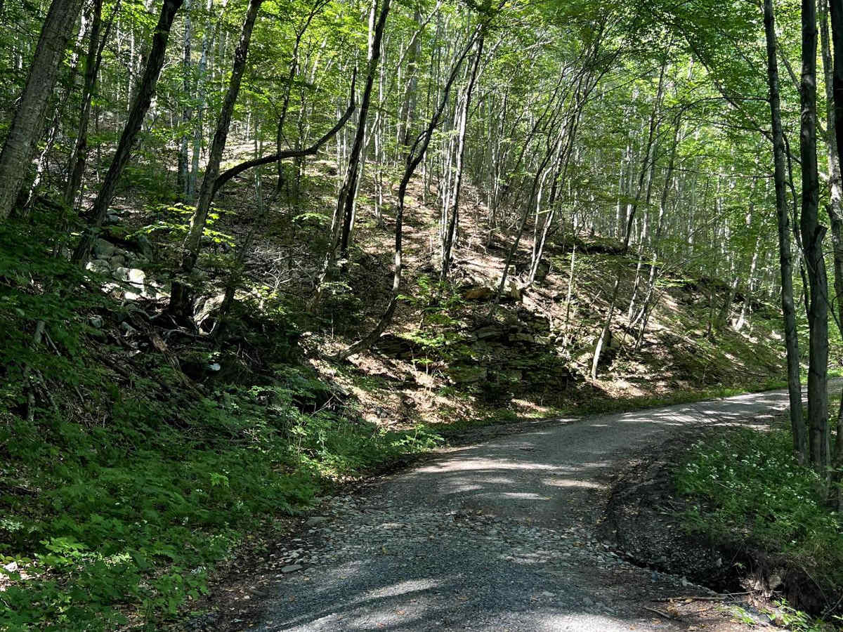 McIntyre Road photo 2