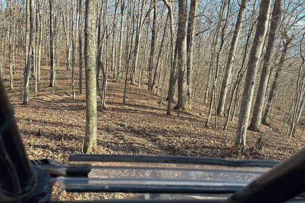 Mud Holler