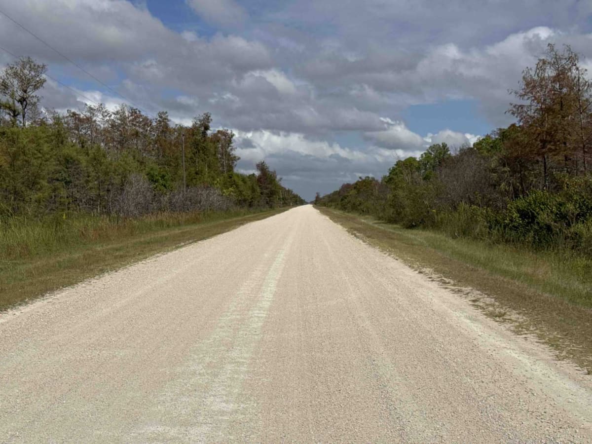 Turner River Road - CR 839 photo 5