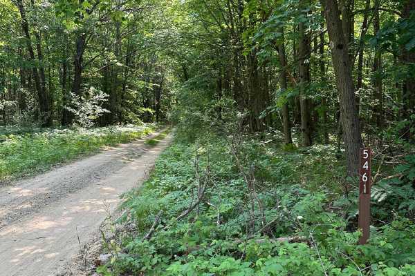 Trail 5461