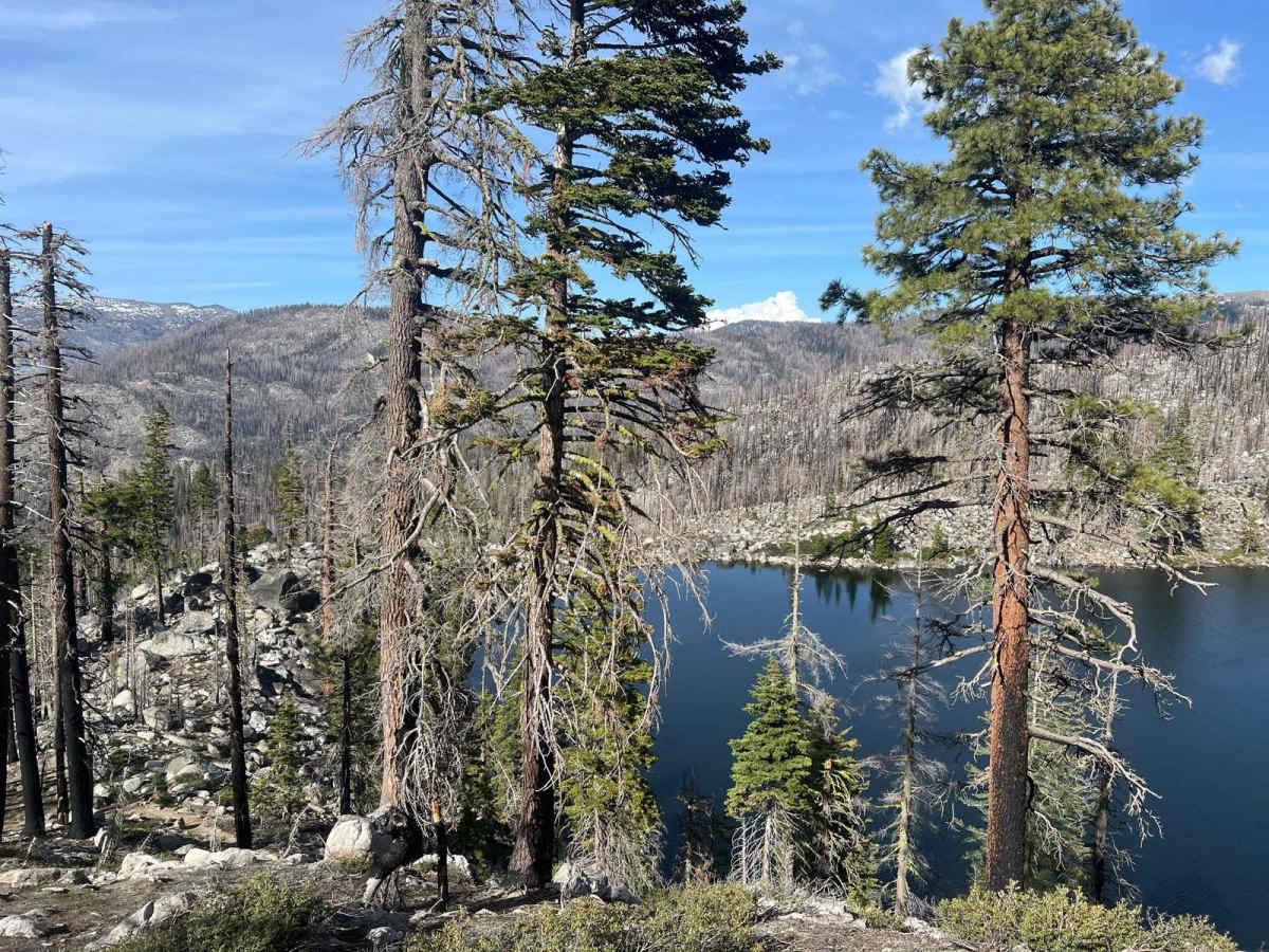 Cody Lake photo 2
