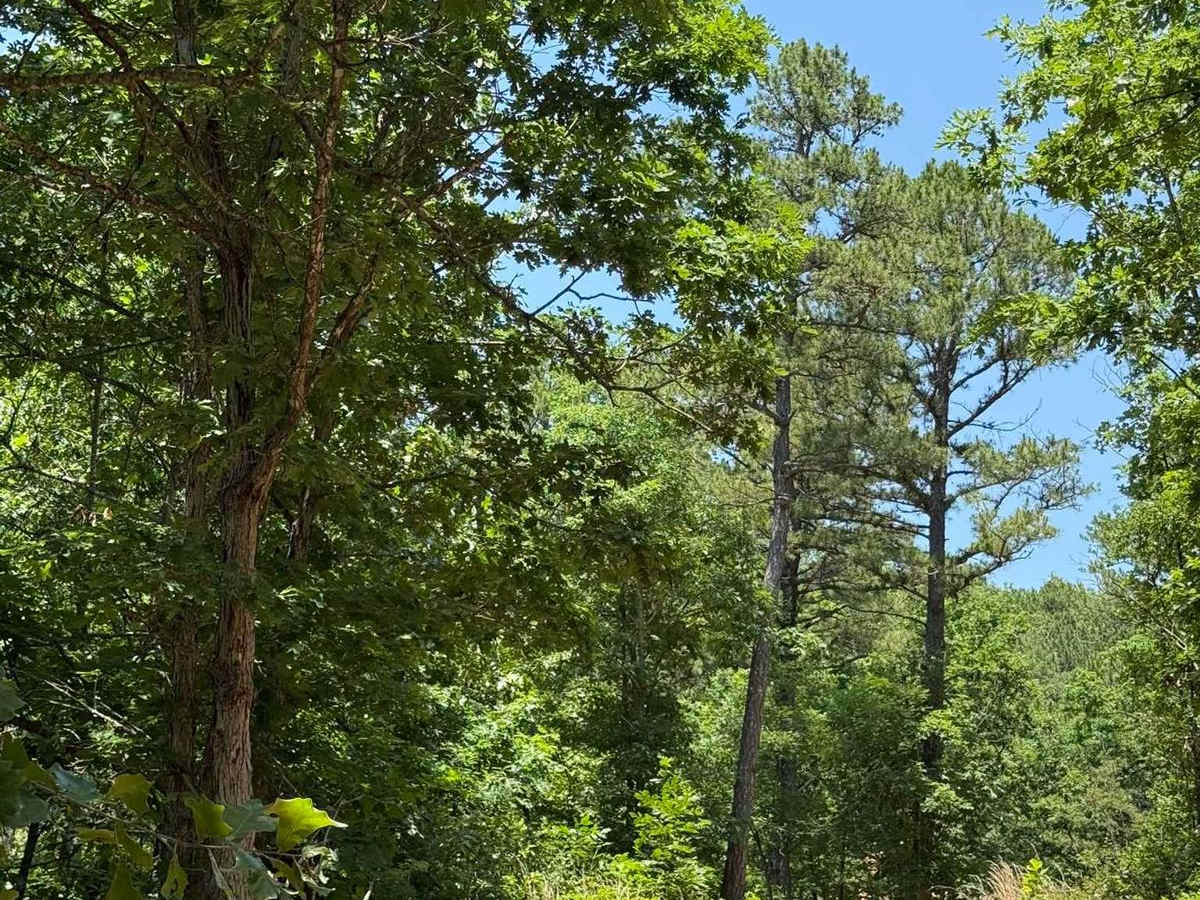 Hunter's Trail photo 6