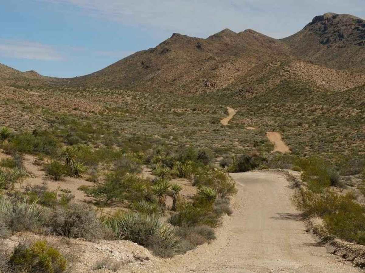 Devil's Cove Road photo 2