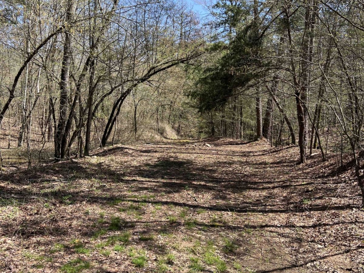 West Gafford 776 photo 5