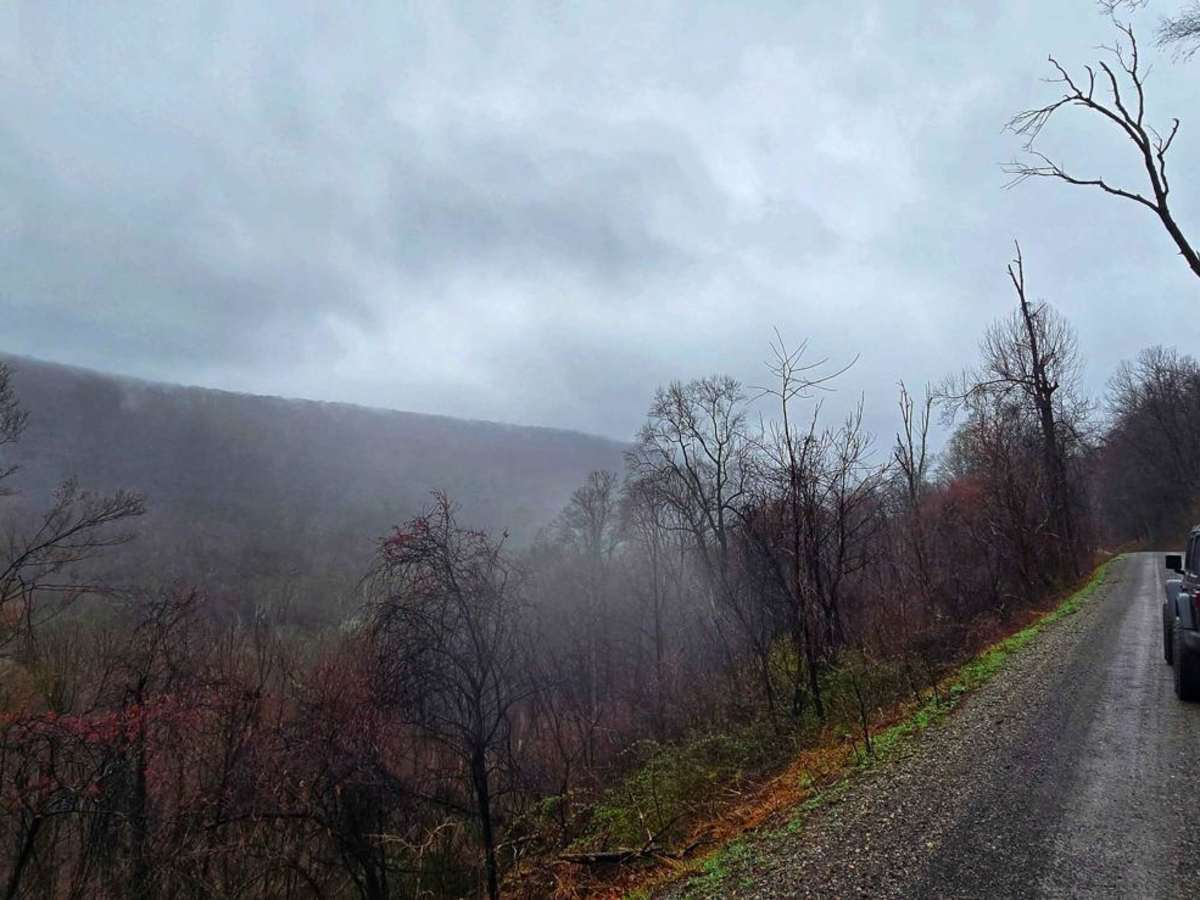 Second Narrows Road trail photo