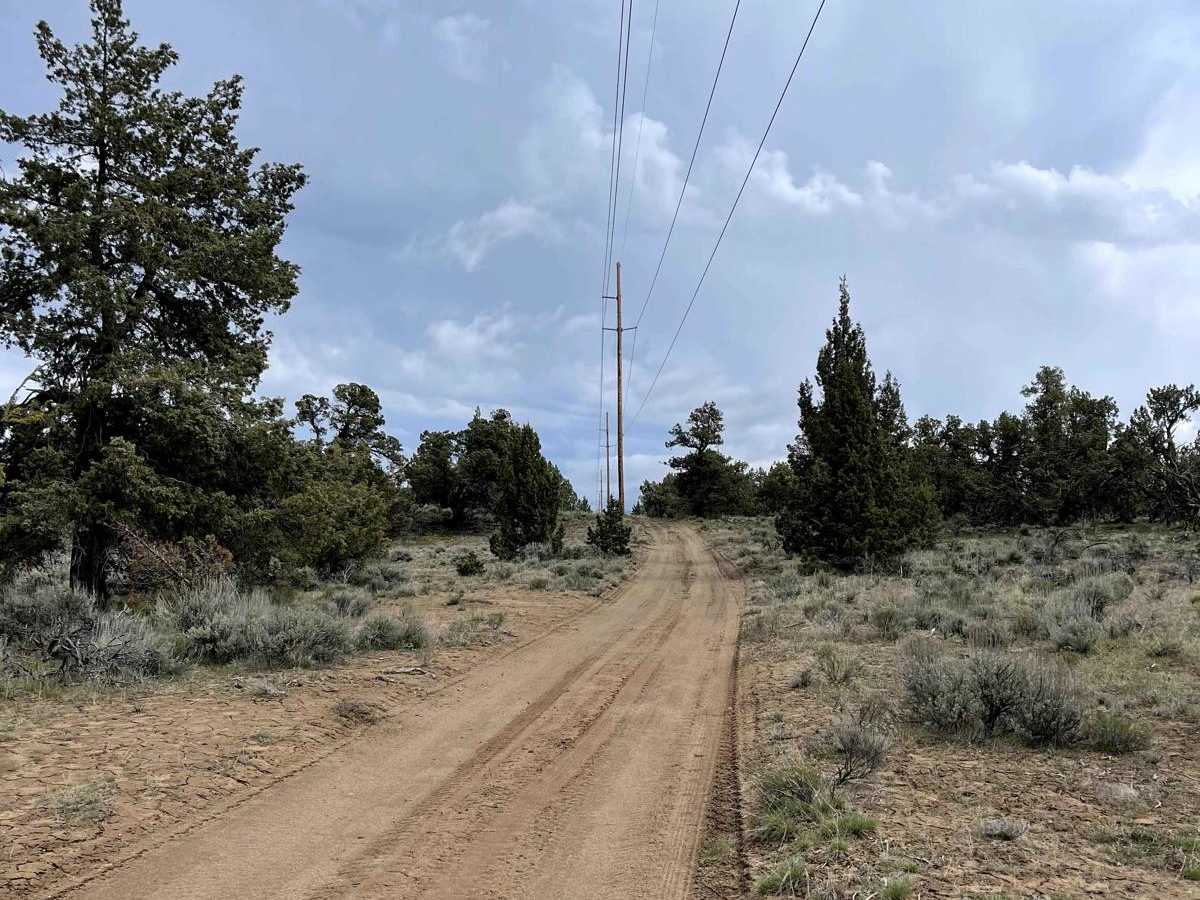 Dirt Road Dash photo 4