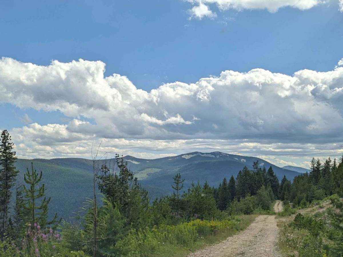 Dodge Creek to Boundary Lake photo 4