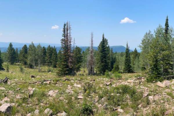 Pit & Page Hill (FR 80170)