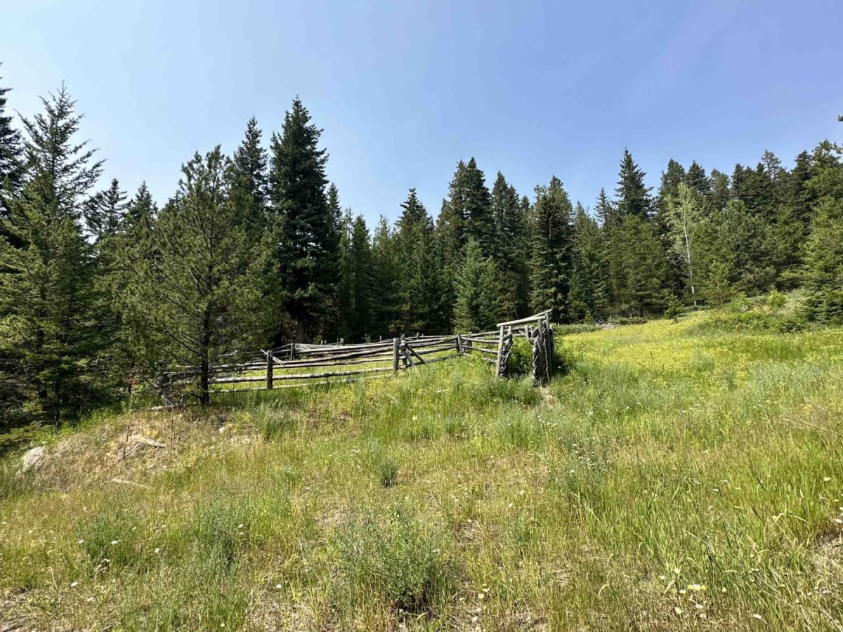 Chase Creek FSR photo 6