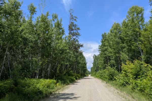 Brown Road