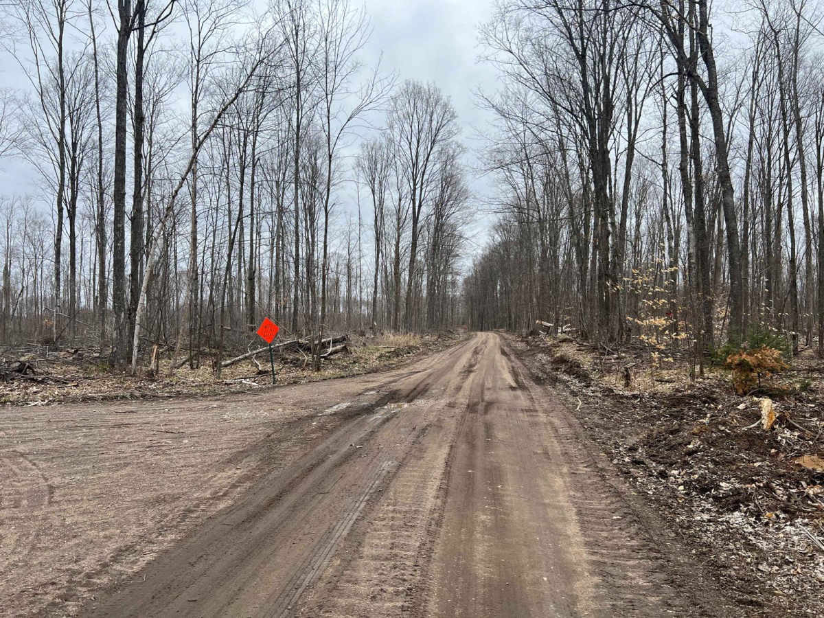 Wolf River to Junction 22A photo 4