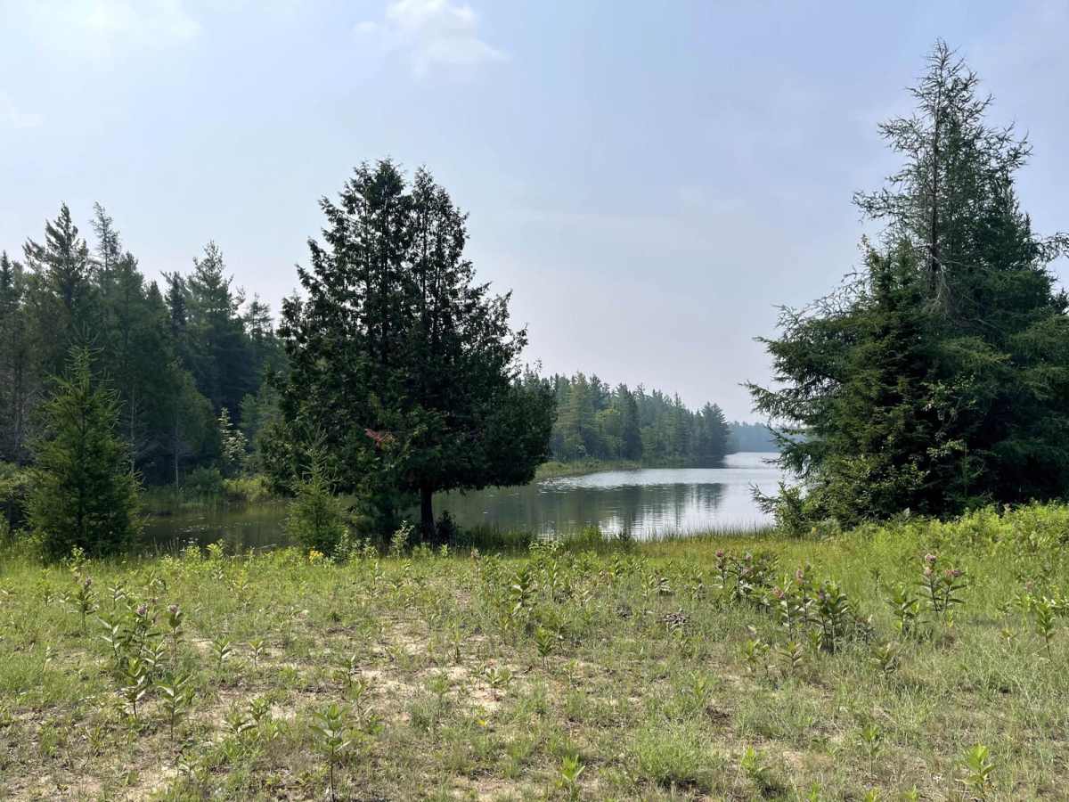 Hay Lake Spur Trail photo 6