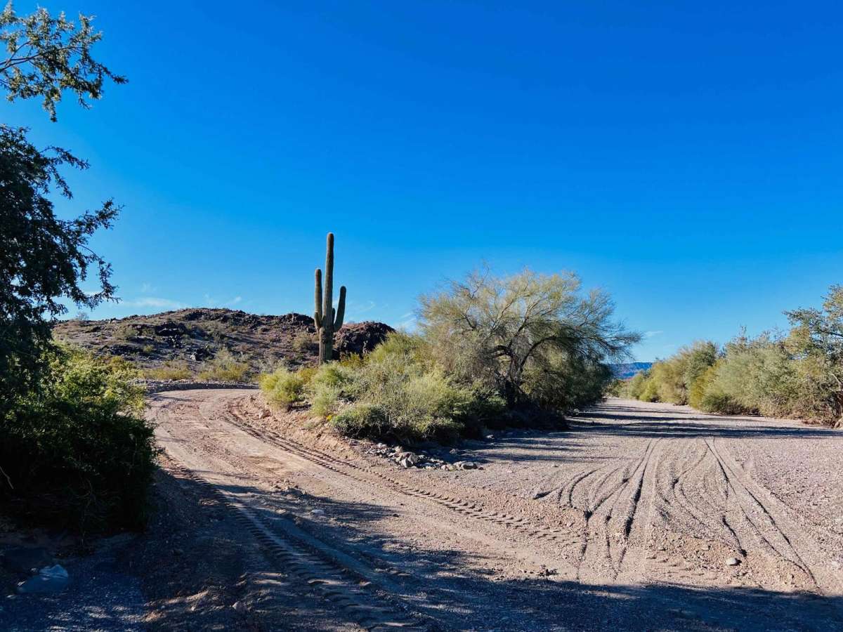Upper Deadman Wash trail photo