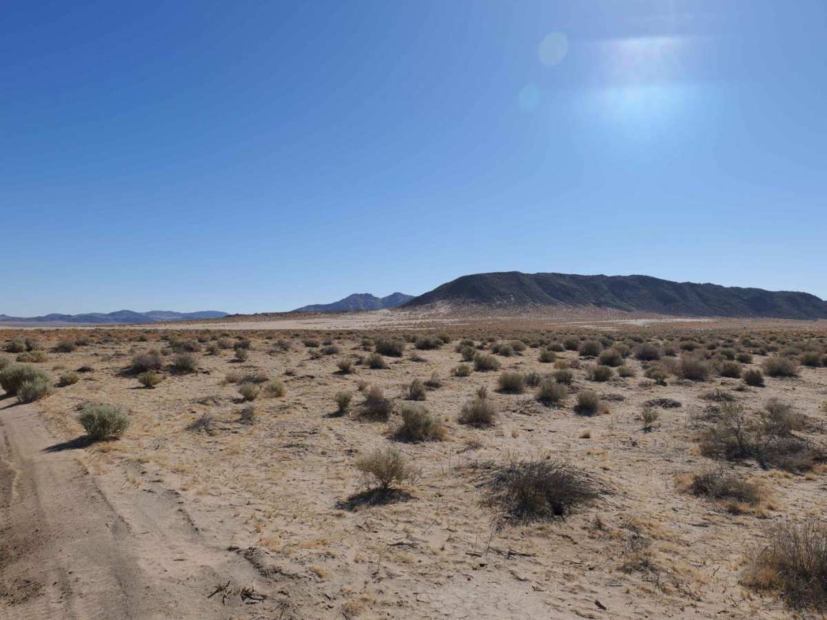Sand Dune Expedition trail photo