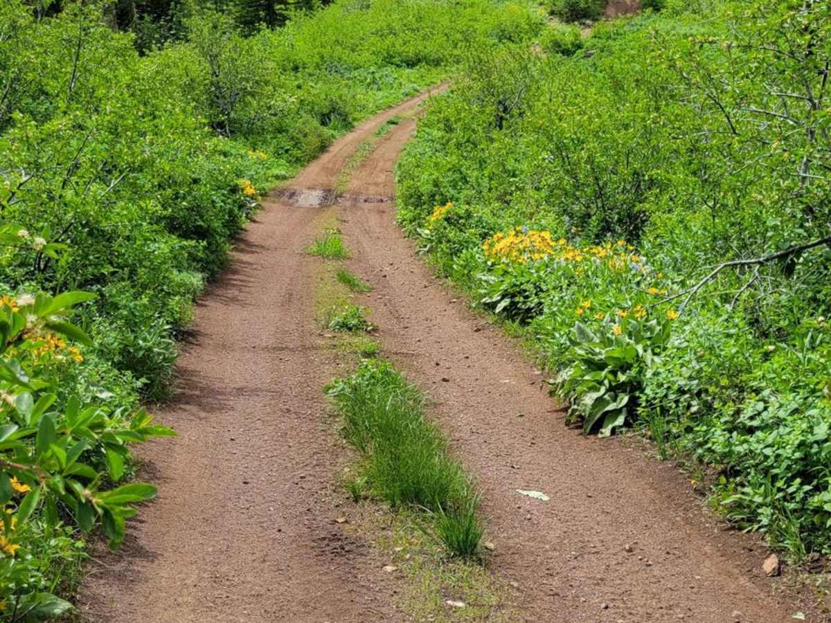 FR 306 - Iron Mountain Trail photo 3