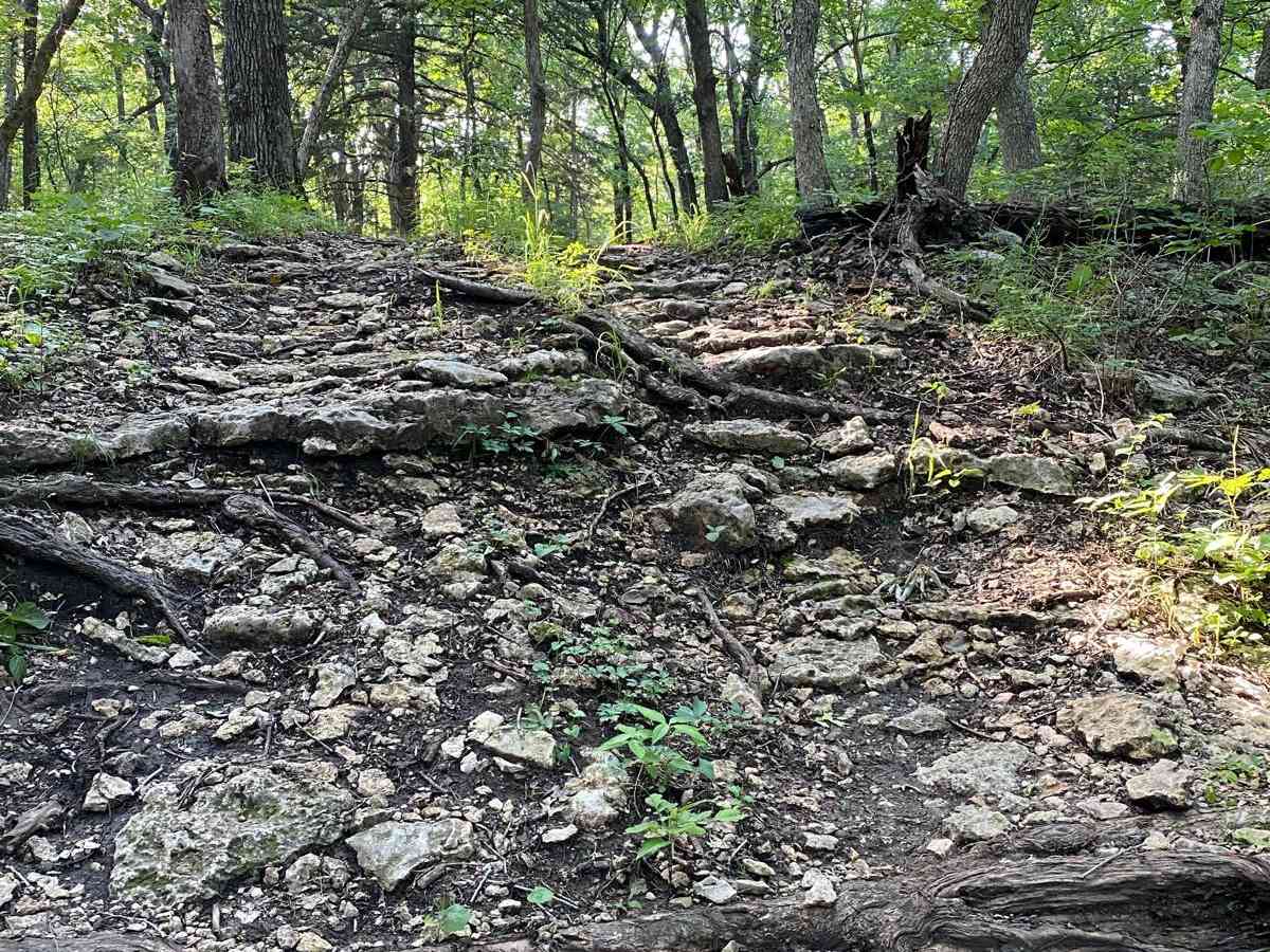 Cloepfil's Climb photo 3