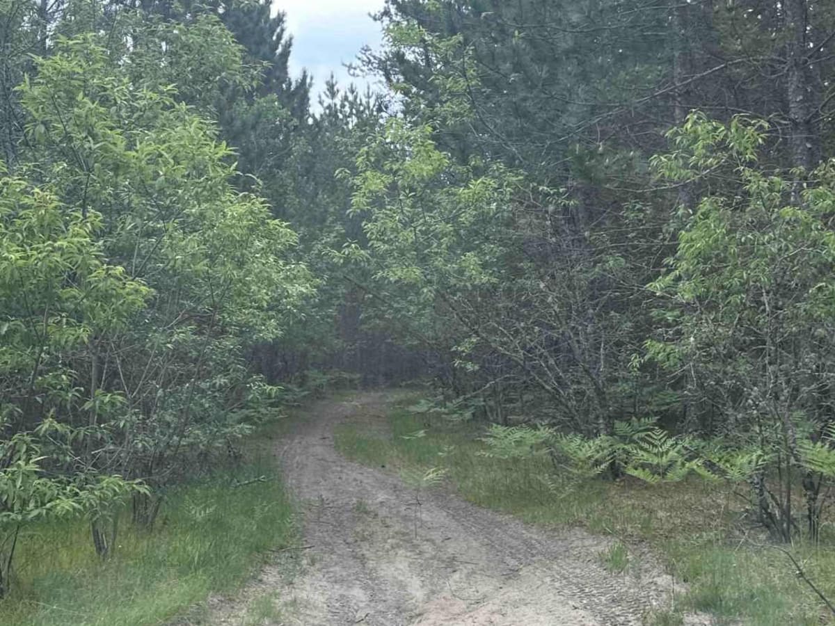 Ozark trail photo