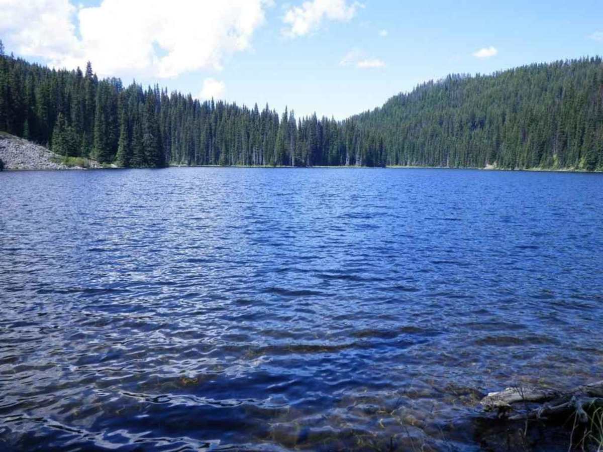 Bisson Lake photo 2