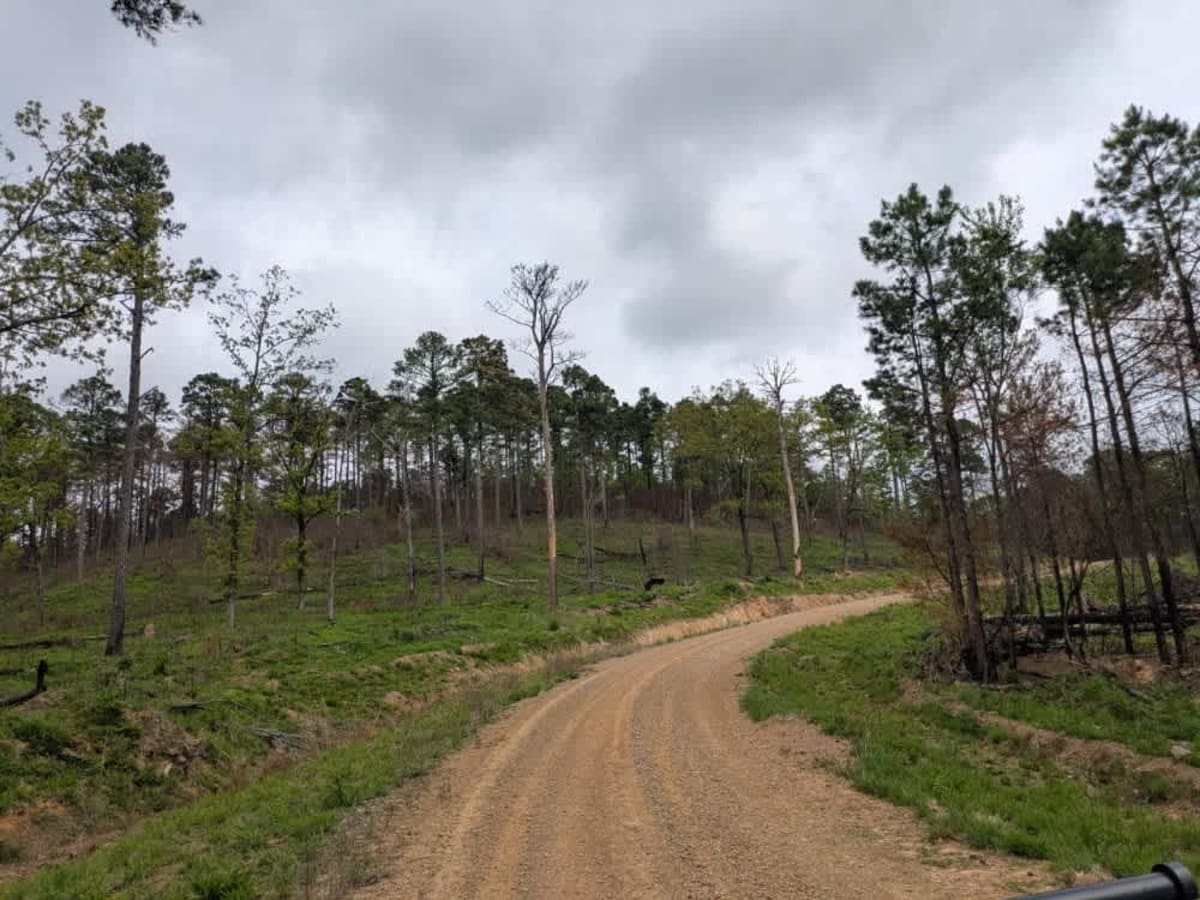 Valentine Ridge photo 5