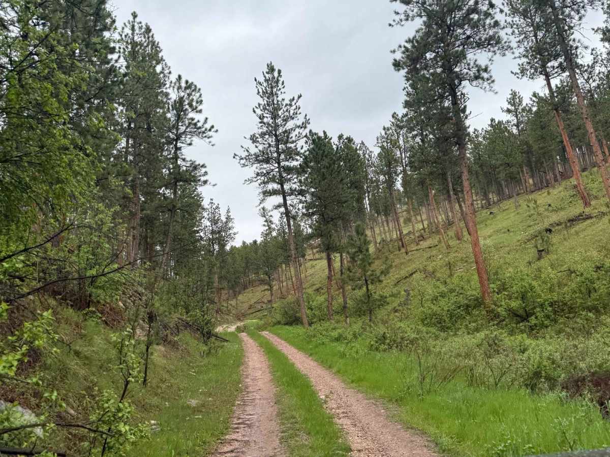 Barrel Springs Br 2B photo 6