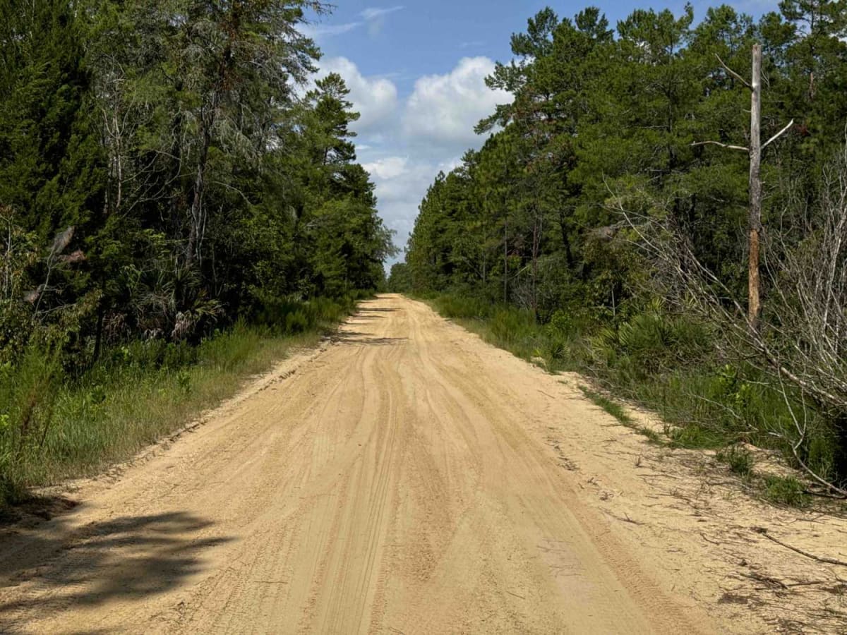 South Boundary Trail - ONF 2 photo 2