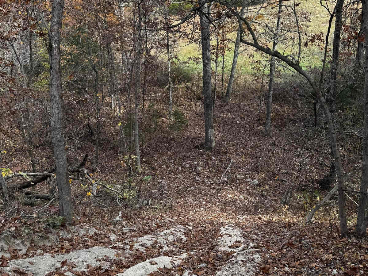 Bird Loop photo 2