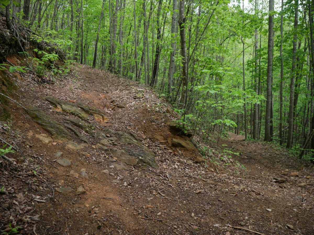 3B trail photo