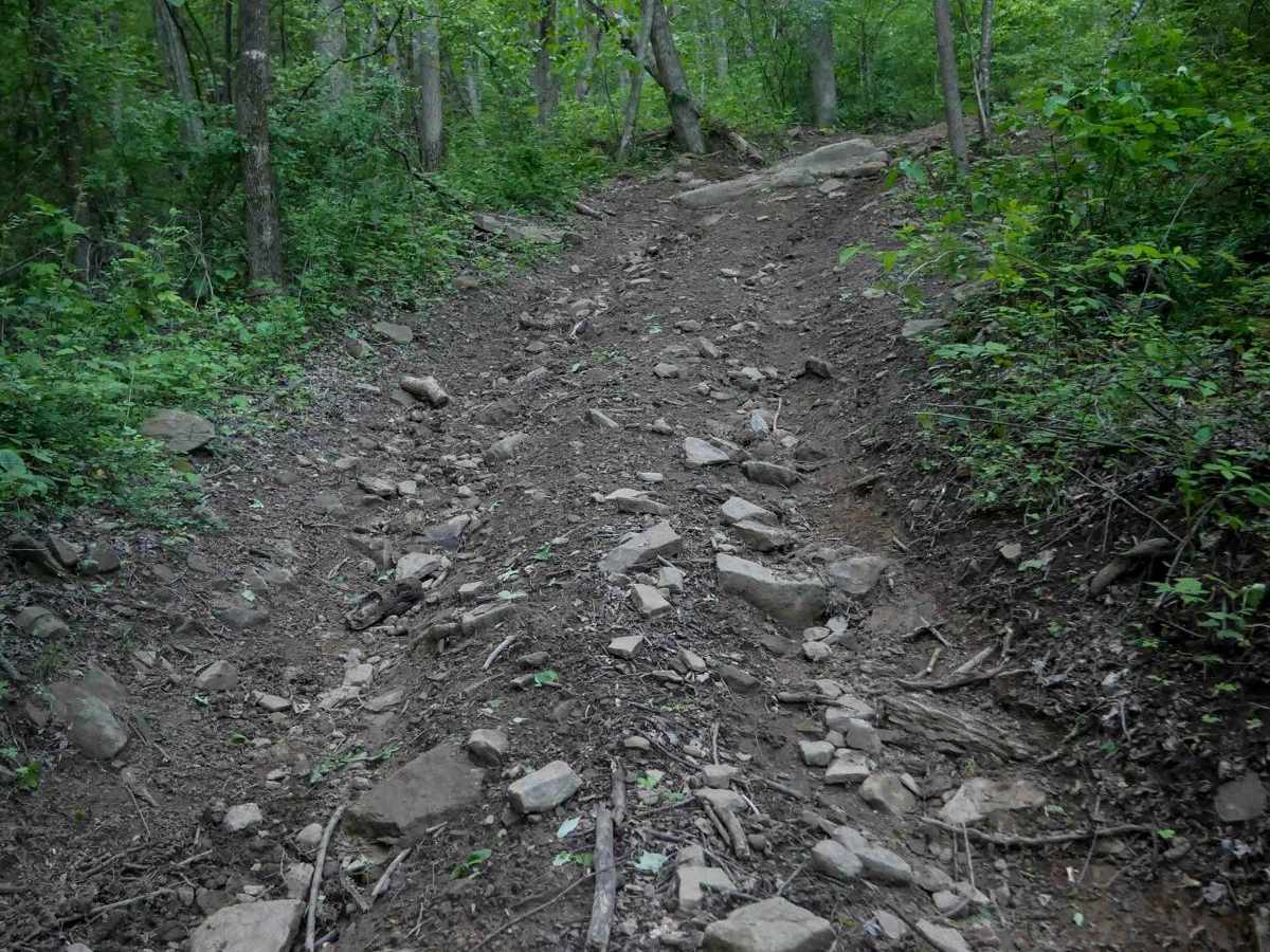 MV88 trail photo