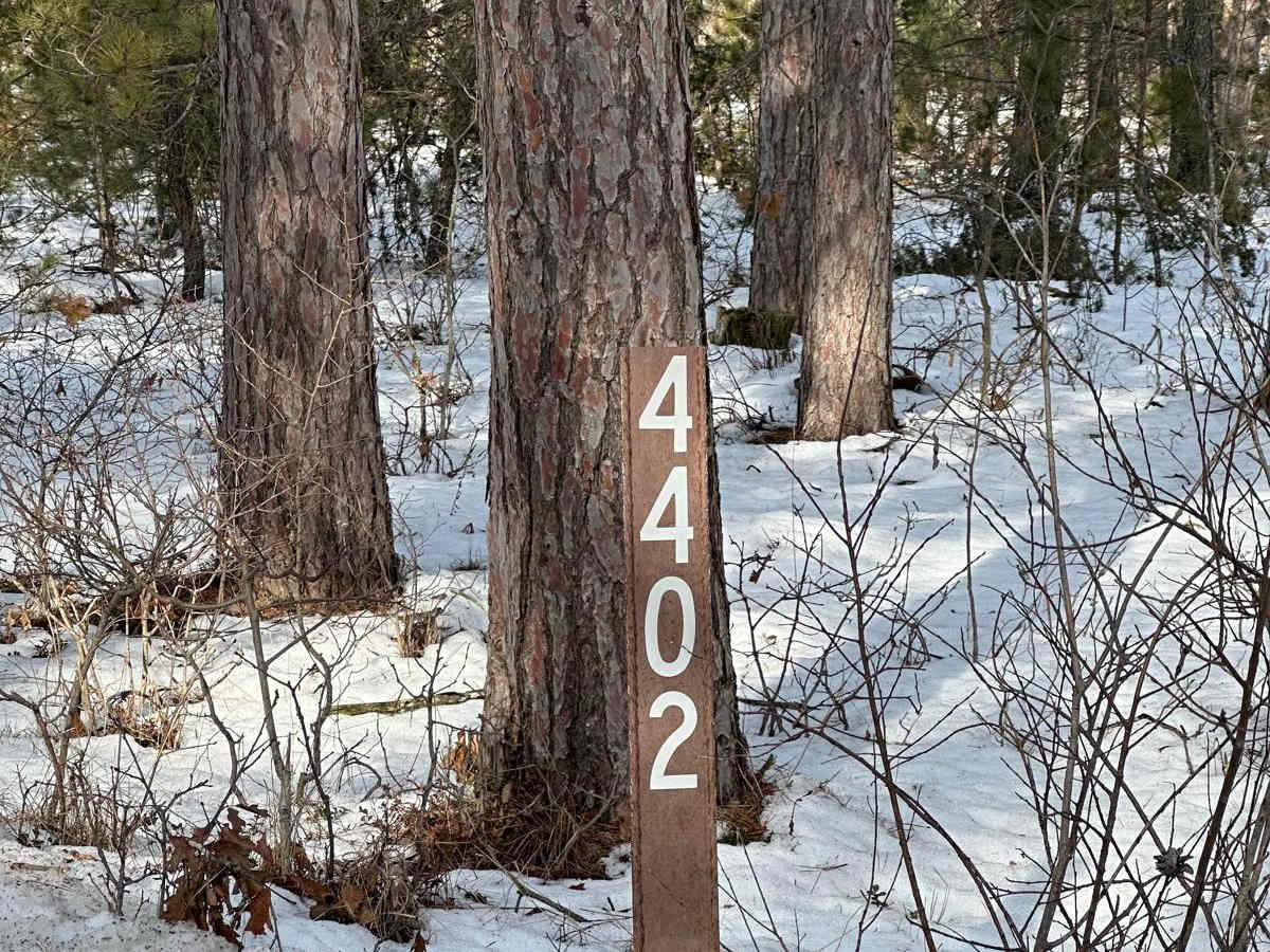 FS 4402 trail photo