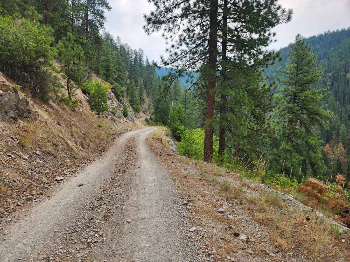Eddy Peak Road photo 2