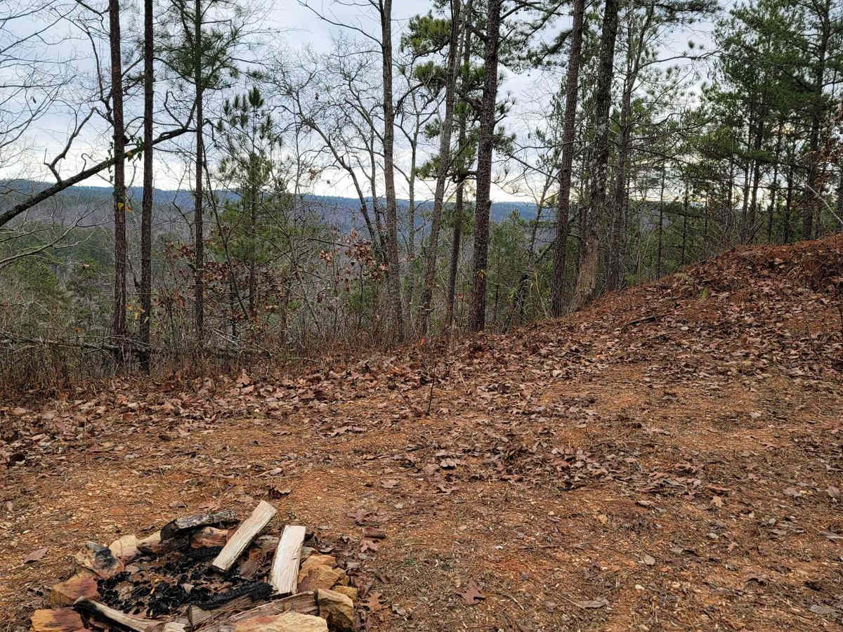USFSR #534 - Rabbit trail photo