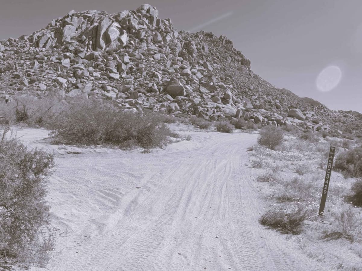 BLM C3429 photo 3