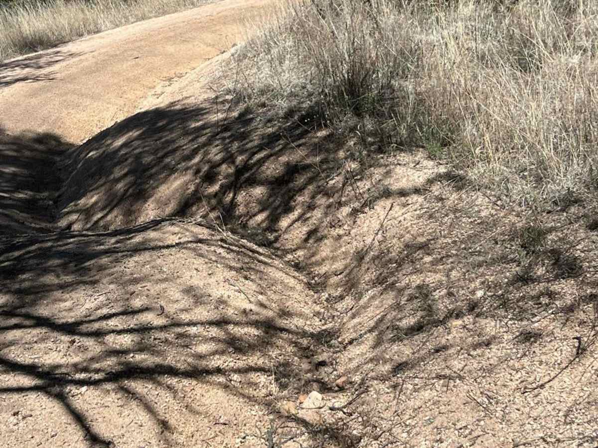 FS 911 East trail photo